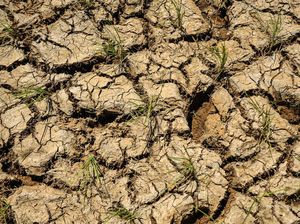 Puncak Kemarau 2024 Diprediksi Terjadi Juli-Agustus Puncak Kemarau 2024 Diprediksi Terjadi Juli-Agustus