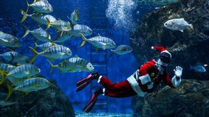 Atraksi Sinterklas Thailand Berenang Bareng Ikan di Akuarium