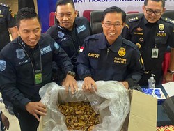 Modus Penyelundupan 53 Kg Sisik Trenggiling: Dicampur Keripik Singkong