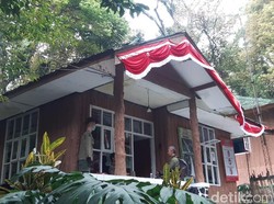 Pendakian Gunung Gede Pangrango Dibuka, Langsung Diserbu Ratusan Pendaki