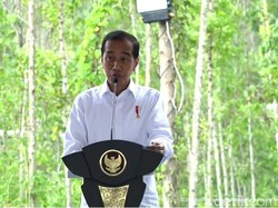 Asa Jokowi Bikin IKN Jadi Ibu Kota Paling Hijau Sedunia