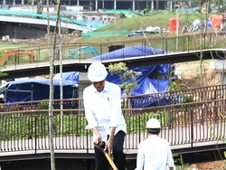 Jokowi Tanam Pohon Bareng Pekerja Konstruksi di Area Sumbu Kebangsaan IKN