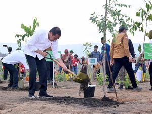 Jokowi: Reforestasi IKN Agar Terwujud Tropical Rain Forest