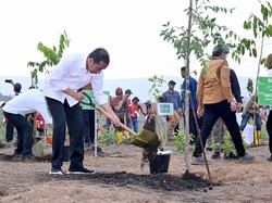 Jokowi: Reforestasi IKN Agar Terwujud Tropical Rain Forest