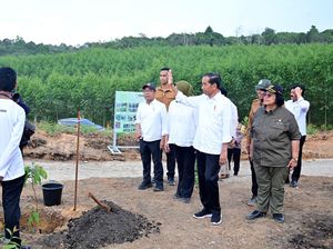 Jokowi Mulai Pembangunan Kodim IKN: Jangan Banyak Tebang Pohon