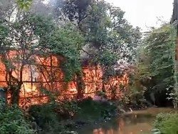 Gudang Toko Kayu di Sidoarjo Terbakar, Satu Karyawan Luka Bakar