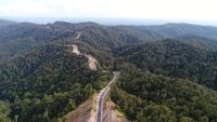 Mengintip Jalan Trans Papua Meliuk Membelah Petik Bintang