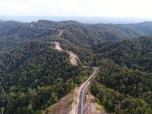 Mengintip Jalan Trans Papua Meliuk Membelah Petik Bintang