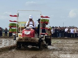 Mentan Target 2026 Indonesia Jadi Negara Pengekspor Beras Dunia