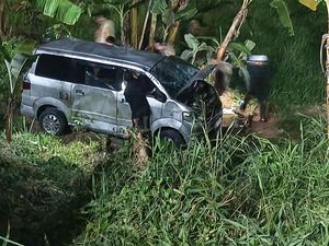 Mobil Wisatawan Terperosok ke Sawah di Puncak Bogor