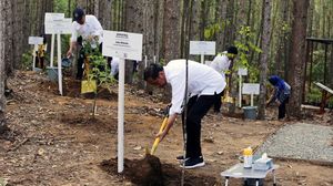 Momen Jokowi Tinjau Miniatur Hutan Hujan Tropis di IKN Nusantara