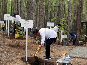 Momen Jokowi Tinjau Miniatur Hutan Hujan Tropis di IKN Nusantara
