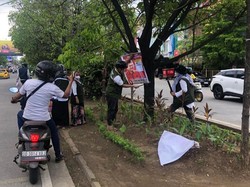 DLH Makassar Tertibkan APK Caleg Dipaku di Pohon Jalan Boulevard-Pengayoman