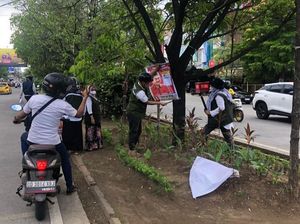 Turun Tangan DLH Makassar Copot APK di Pohon Usai Bawaslu-KPU Saling Sindir Turun Tangan DLH Makassar Copot APK di Pohon Usai Bawaslu-KPU Saling Sindir