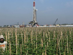 Bikin Takjub! Pertamina Temukan Lumbung Minyak & Gas di Bekasi