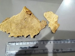 Wow! Sekeping Sereal Jumbo Ini Harganya Setara Mobil Mewah Wow! Sekeping Sereal Jumbo Ini Harganya Setara Mobil Mewah