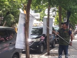 DLH Makassar Miris Lihat Satu Pohon Dipaku hingga 5 APK Caleg