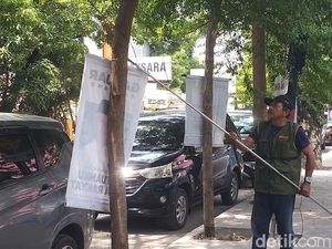 DLH Makassar Miris Lihat Satu Pohon Dipaku hingga 5 APK Caleg DLH Makassar Miris Lihat Satu Pohon Dipaku hingga 5 APK Caleg
