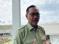 Luhut Singgung Rumah Menteri di IKN Kecil, Kepala Otorita: Standar PUPR