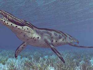 Wakayama Soryu, Monster Asal Jepang yang Teror Lautan 72 Juta Tahun Lalu Wakayama Soryu, Monster Asal Jepang yang Teror Lautan 72 Juta Tahun Lalu