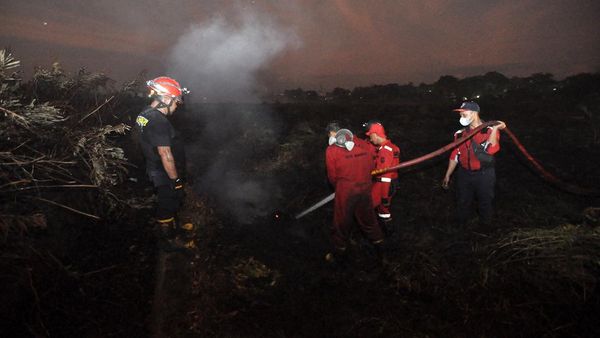 Damkar Terus Berupaya Padamkan Kebakaran Lahan Gambut di Bengkulu