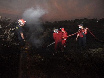 Damkar Terus Berupaya Padamkan Kebakaran Lahan Gambut di Bengkulu