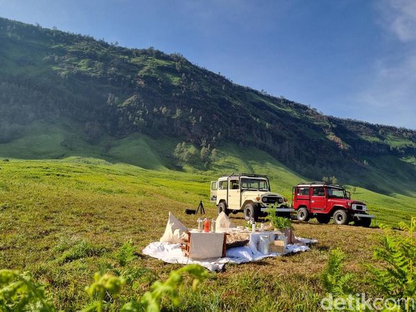 Pecah... Begini Sensasi Piknik Estetik di Karpet Hijau Bromo