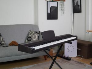 Wolfstrom, Digital Piano Brand Lokal Calon Penguasa Baru Pasar Musik