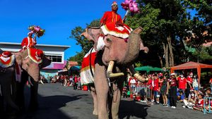 Atraksi Gajah Thailand Bagikan Hadiah Natal untuk Siswa Sekolah