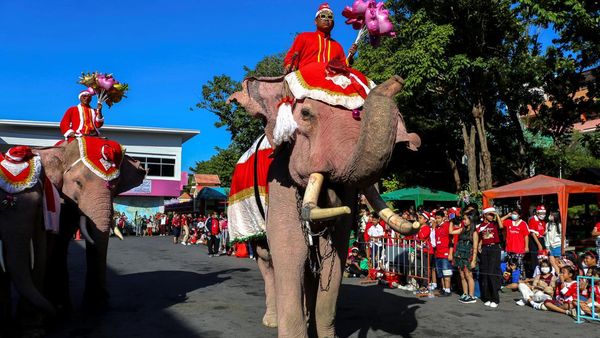 Atraksi Gajah Thailand Bagikan Hadiah Natal untuk Siswa Sekolah