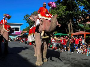 Atraksi Gajah Thailand Bagikan Hadiah Natal untuk Siswa Sekolah