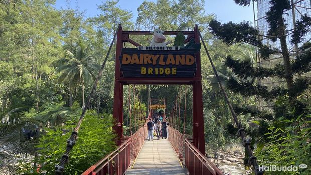 Cimory Dairyland Riverside Puncak