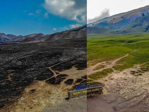 Before After Gunung Bromo, Terbakar-Menghijau