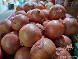 Penyelundupan 21 Ton Bawang Bombai Ilegal Asal Selandia Baru Digagalkan Penyelundupan 21 Ton Bawang Bombai Ilegal Asal Selandia Baru Digagalkan