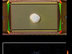 Ilmuwan Kembangkan Perangkat dari Sel Otak Manusia, Bisa Menghitung-Mengenali Suara