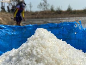 Suara Petambak di Tengah Wacana Cirebon Jadi Sentra Produksi Garam