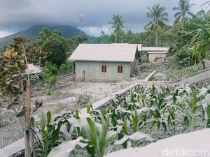 Wings Air Tunda Operasi di Maumere Karena Erupsi Gunung Lewotobi