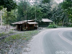 Gunung Lewotobi Laki-laki Erupsi, Jalanan Berkabut-Suara Gemuruh 4 Kali