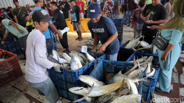 Melihat Kesibukan Nelayan di TPI Karangsong Indramayu