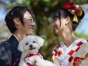 Bantu Warga Temukan Jodoh, Pemkot Tokyo Resmi Luncurkan Aplikasi Kencan Bantu Warga Temukan Jodoh, Pemkot Tokyo Resmi Luncurkan Aplikasi Kencan