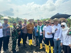 Lewat Cara Ini, Pengusaha Muda Ikut Dorong Sektor Pertanian di Daerah