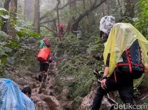 Gunung Kerinci Status Waspada, Basarnas Jambi Minta Pendaki Hati-hati