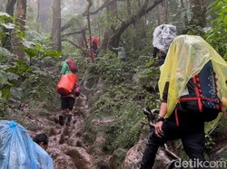 Gunung Kerinci Status Waspada, Basarnas Jambi Minta Pendaki Hati-hati