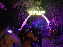 Seru! Taman Safari Sambut Nataru dengan Pertunjukan Luminous Journey