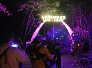 Seru! Taman Safari Sambut Nataru dengan Pertunjukan Luminous Journey Seru! Taman Safari Sambut Nataru dengan Pertunjukan Luminous Journey