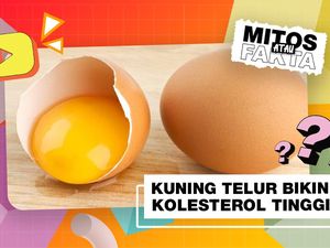 Mitos atau Fakta: Banyak Makan Kuning Telur Bikin Kolesterol Naik Mitos atau Fakta: Banyak Makan Kuning Telur Bikin Kolesterol Naik