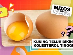 Mitos atau Fakta: Banyak Makan Kuning Telur Bikin Kolesterol Naik