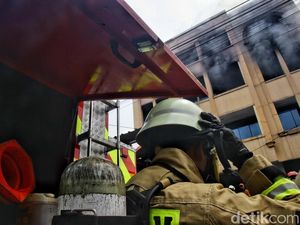 Damkar Evakuasi Pria Jatuh dari Pohon di Tepi Sungai Johar Baru Jakpus Damkar Evakuasi Pria Jatuh dari Pohon di Tepi Sungai Johar Baru Jakpus