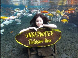 Menikmati Spot Foto Underwater di Destinasi Wisata Tirtosari