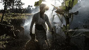2023 Jadi Tahun Terpanas dalam Sejarah